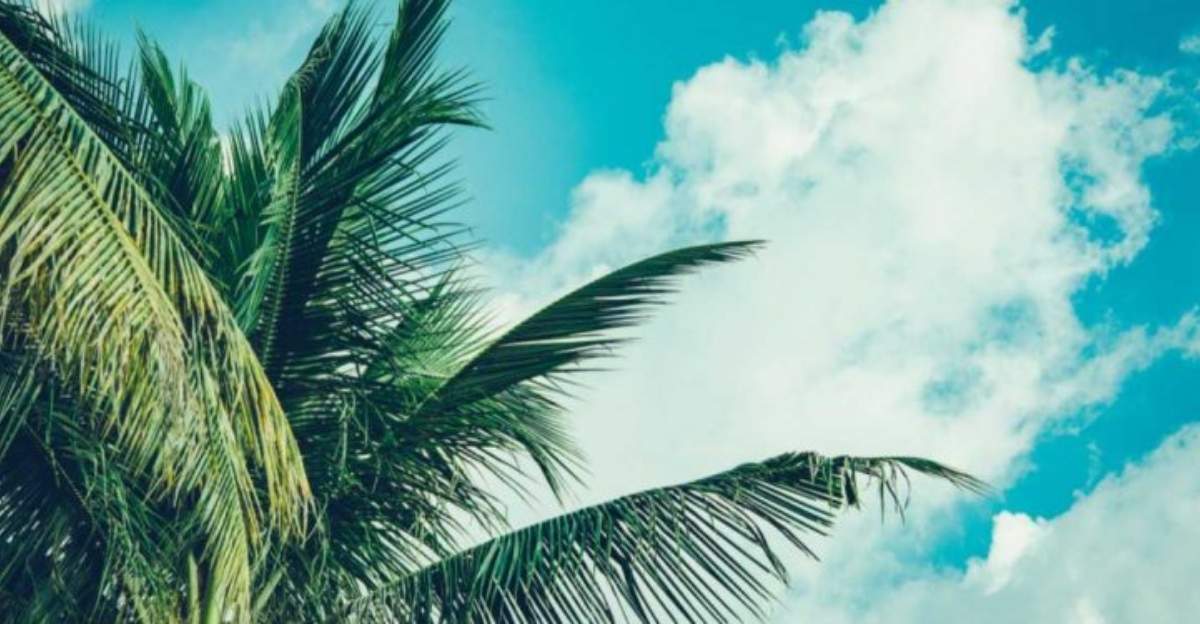 Garantir la continuité des services RH pendant les vacances d'été l DRH.ma