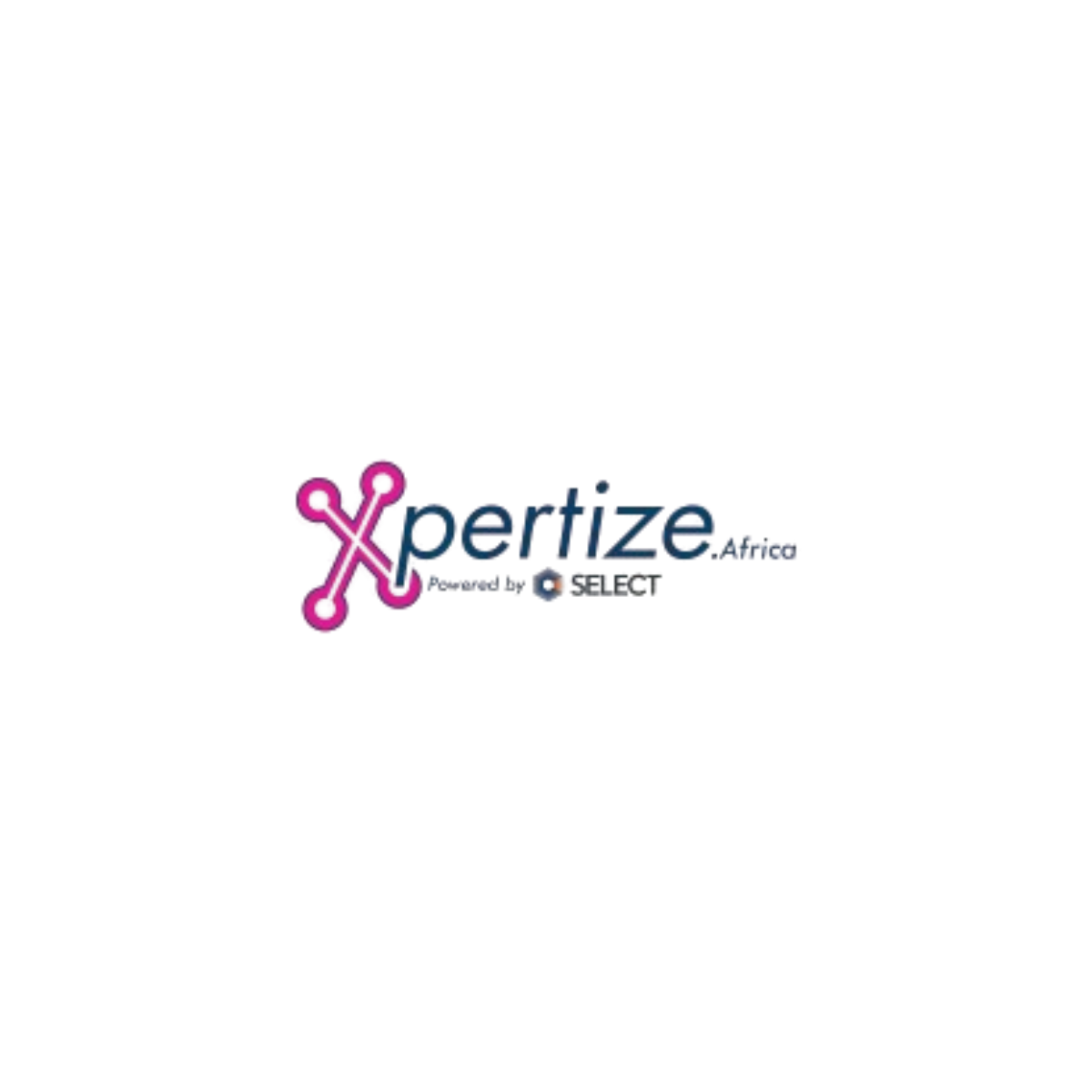 Xpertize Africa png DRH ma