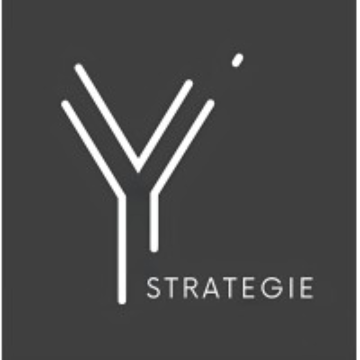 HR Manager H/F Anglophone - Y STRATEGIE (Casablanca) l DRH.ma